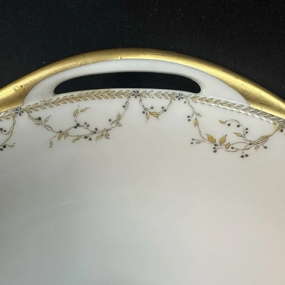 Haviland & Co. Limoges 9